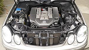 -20150725_103900_zpslszoi1gd.jpg