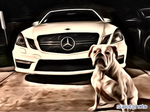 2010 Mercedes E63 White-img_0260.png