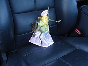 Major problem on road trip-sky-zone-209.jpg