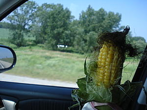 Major problem on road trip-sky-zone-199.jpg