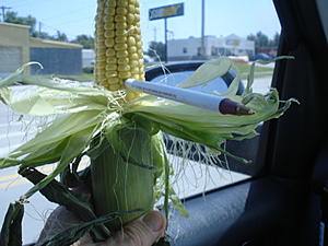 Major problem on road trip-sky-zone-220.jpg