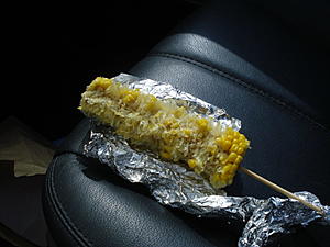 Major problem on road trip-sky-zone-221.jpg