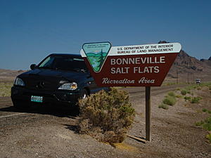 ML55 FUEL GAUGE PROBLEM-dsc00492.jpg