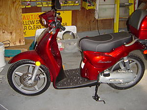 ML55 FUEL GAUGE PROBLEM-baby-new-house-pictures-205.jpg