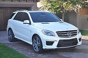 New AMG Addition to the Family-dsc_0027.jpg