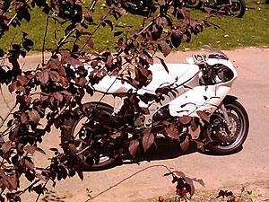 My 1990 FZR-R4-showfzr.jpg