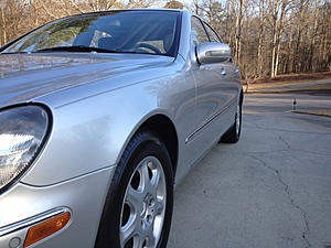 New member from Georgia-image-3296579267.jpg