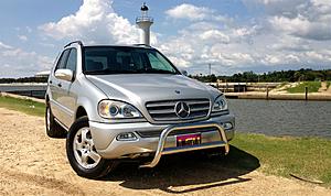 NEW MEMBER!-img_7609.jpg
