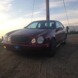 New Owner of Bordeaux CLK 430 in Southern California-img_09291.jpg