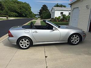 my first she has had 2-slk230.jpg
