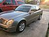 New guy from Savannah-img_4119.jpg