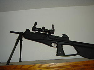 FS: Air Rifle and Pistols-dsc02234.jpg