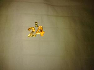 10K Kobe Bryant #24-cimg0007.jpg