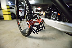 Scott Scale 29er Hardtail Bike, NIB condition!-scott10.jpg