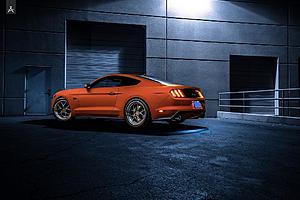 Aristo Collection Mustang Photoshoot-armus4_zpsfeqtkvaw.jpg