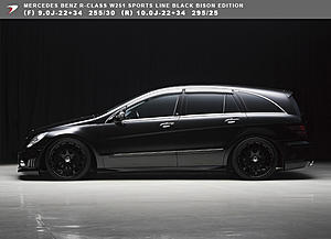 W251 wheel fitment information-waldb.jpg