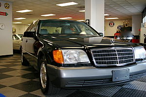 Just Get One thats Purrfect 500SEL-sel0004.jpg