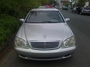 Newbie-2.jpg