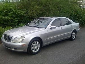 Newbie-3.jpg
