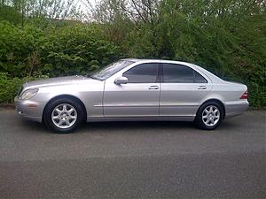 Newbie-4.jpg