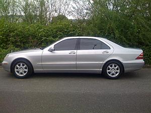 Newbie-5.jpg