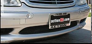 AMG front bumper mesh grill ???-front-mesh-grill.jpg