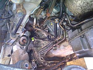 Ongoing Maintenance and Repair for a 2003 S600.-transmission-hoses-2.jpg
