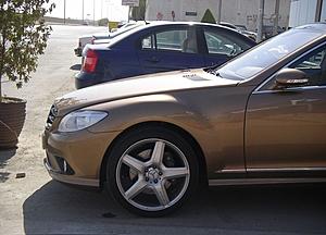 Profile of S-Class Buyer-cs550-02.jpg