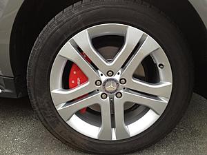 Need paint calipers help in south Florida-photo.jpg