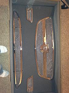 Asanti s550/s600 grill unused-img_2314.jpeg