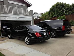 New member in family-s550.jpg