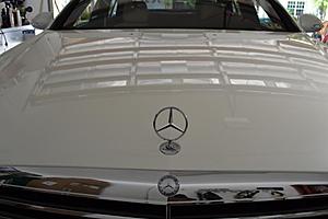 Big Brakes Options-dsc_4405_zpsc23087c4.jpg