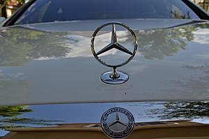 Big Brakes Options-dsc_4479_zpsfbd98277.jpg