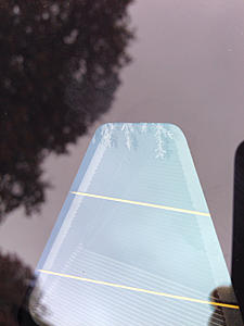 The bubble strikes again-image-1100072404.jpg