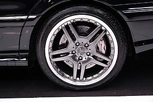 New Memeber Saying Hello-06-s65-wheel.jpg