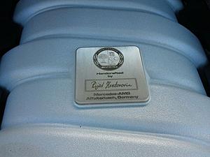 AMG Signature Tags-ml63.jpg