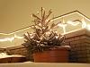 Santa was good to me-kerstboom.jpg
