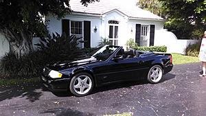 New owner introduction-img_20140224_112239210.jpg