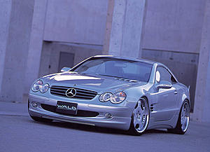 SL Wald-19.jpg