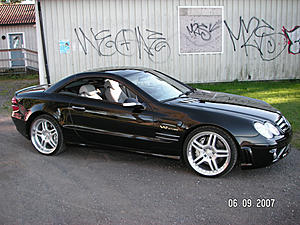 My latest darling...-sl-600-0042.jpg