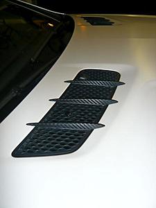 Want to black out fins on entire car...-p1010301.jpg