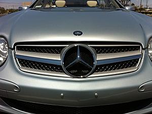 single fin grille-photo-1.jpg