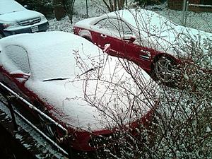 Don't you just love snow?-img00144-20110108-0926.jpg