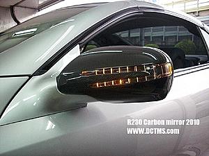 DCT MS SL R230 Projects-sl-r230-carbon-mirrors-2010_led.jpg
