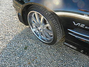 What do you think.-dscn0926.jpg