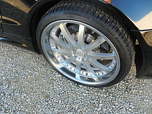 What do you think.-dscn0925.jpg