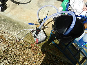 Johnson vs Bosch-dscn0939.jpg