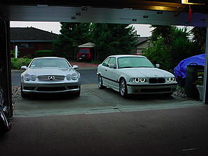 New Edition to the family...-880ca31f.jpg