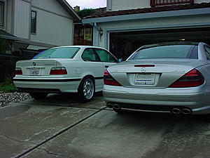 New Edition to the family...-f6d4a151.jpg