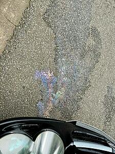 -img_1031.jpeg